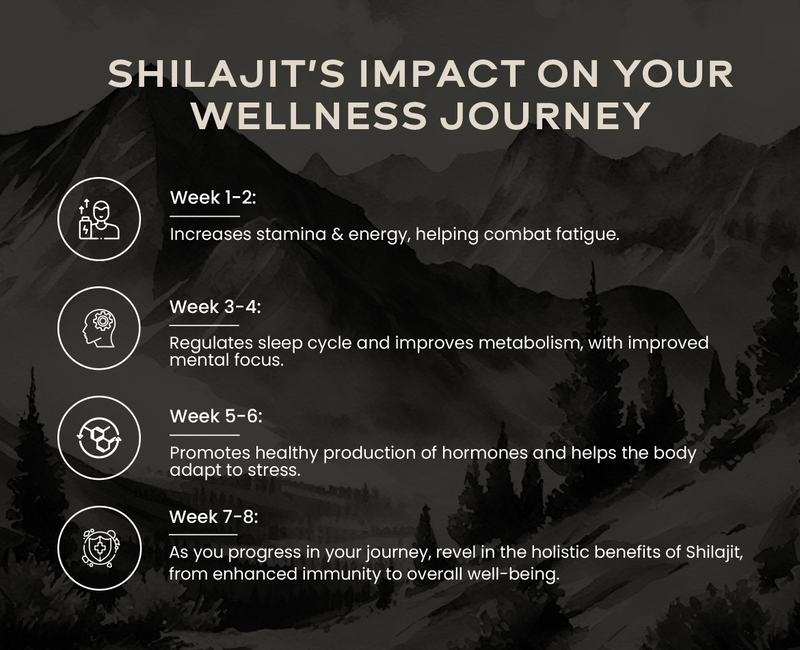 Shilajit's Impact on Your Wellness Journey
