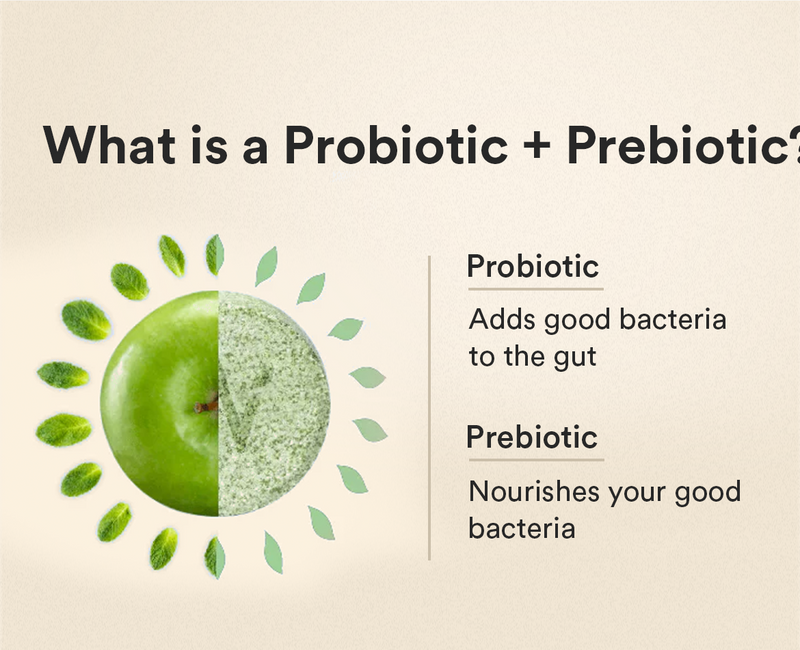 What is a Probiotic + Prebiotic?