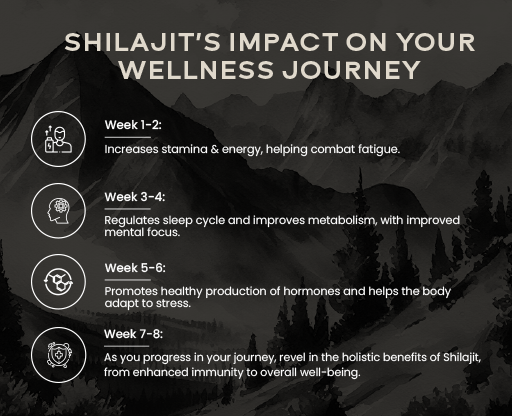 Shilajit's Impact on Your Wellness Journey