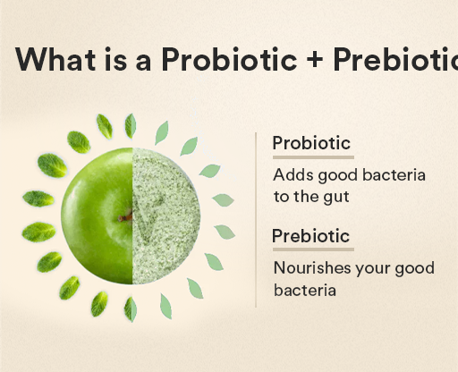 What is a Probiotic + Prebiotic?