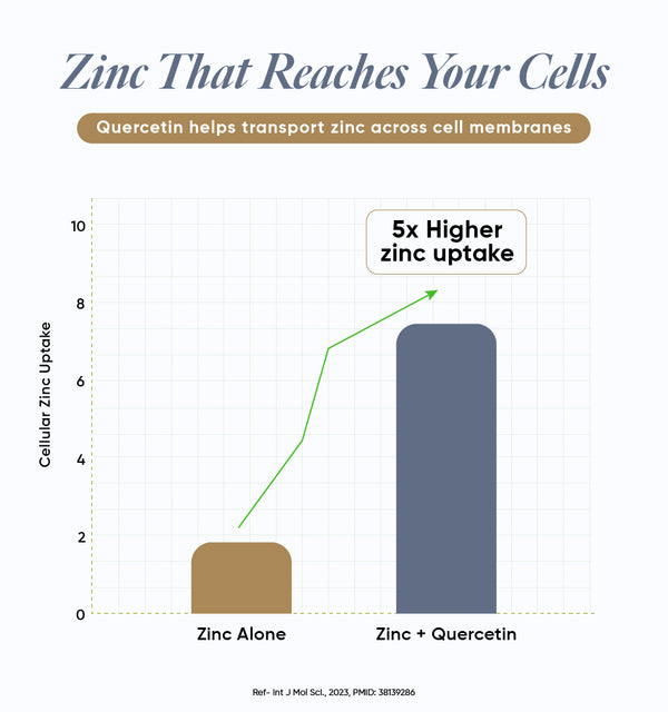 Enhanced Cellular uptake with Quercetin
