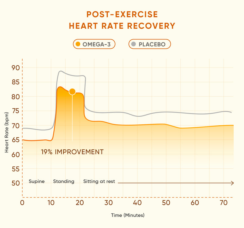 19% Improved Post-exercise Heart Rate Recovery