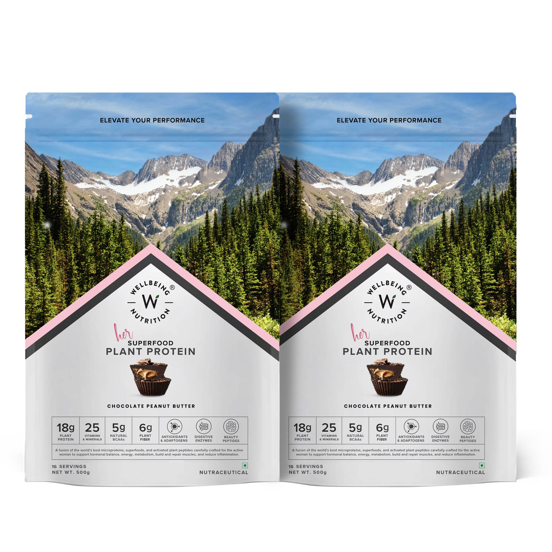 Vegan Plant Protein Chocolate Peanut Butter Flavor Pack of 2