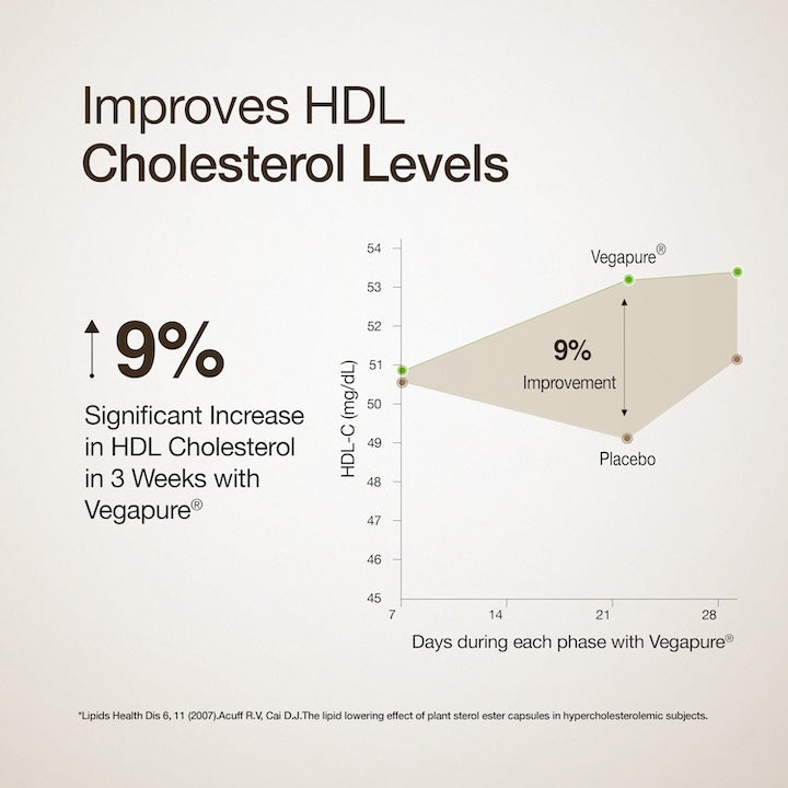 Cholesterol Control Slow