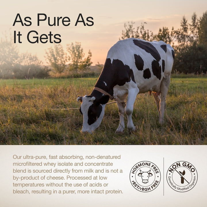 Whey Protein Variety Pack Sachets