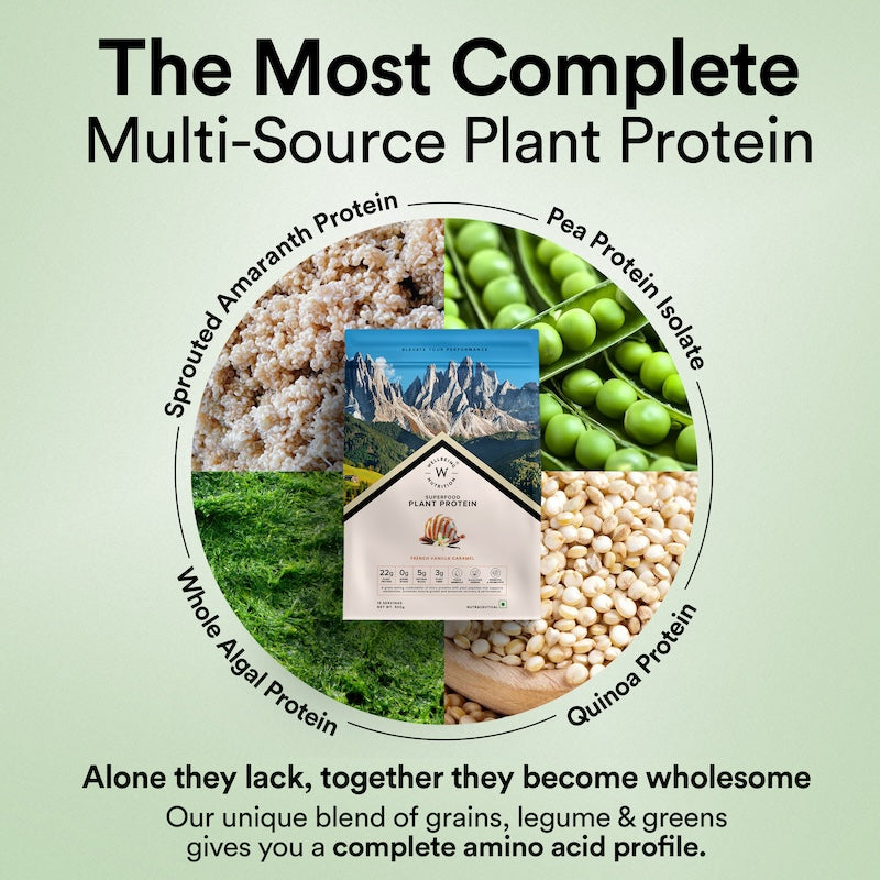 plant protein source