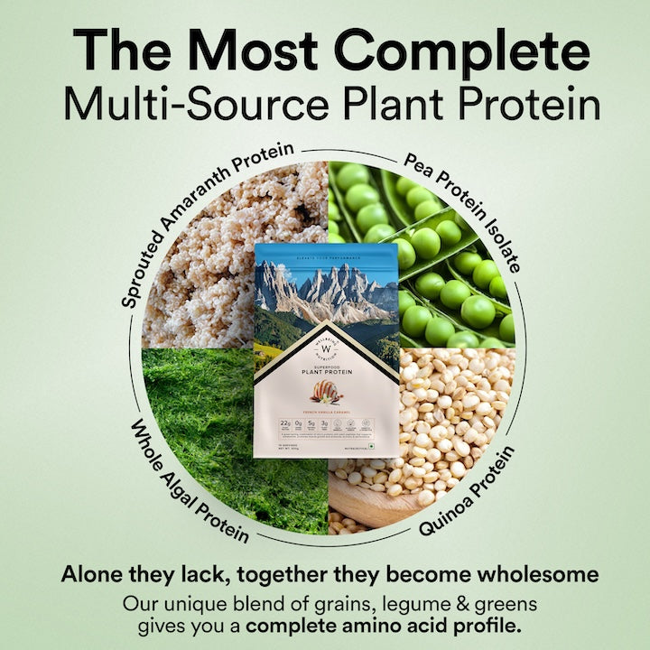 complete multi-source plant protein
