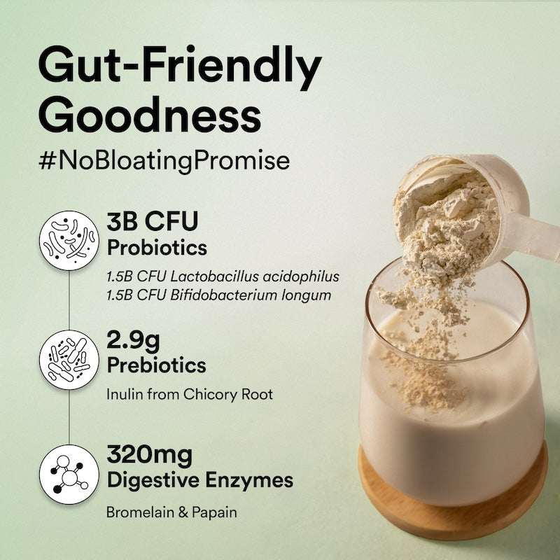 plant protein scoop