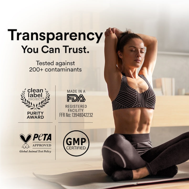 Vegan Protein 22g | 500g | 3B CFU Probiotics | Canadian Mixed Berry