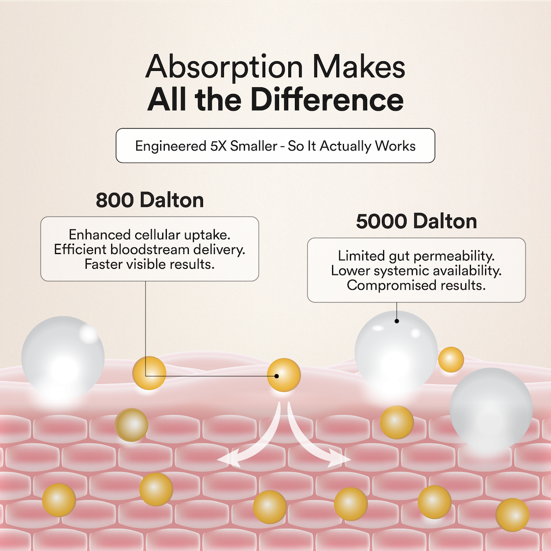 Pure Korean Marine Collagen Peptides | Unflavored | Combat Signs of Ageing