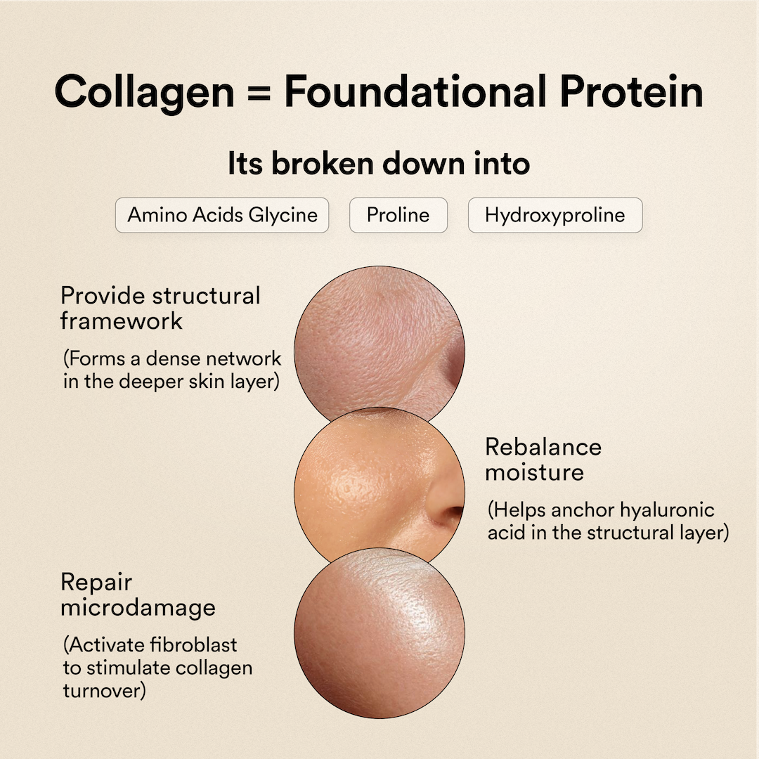 Collagen = Foundational Protein
