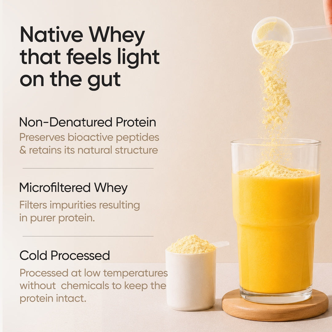 Whey Protein Isolate + Concentrate 24g | 1kg | 4B CFU Probiotics | Mango Flavoured