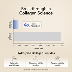 Korean Marine Collagen - Blueberry Mint