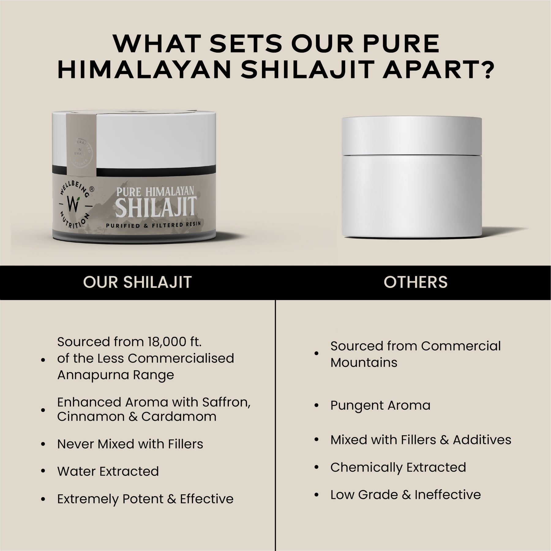Shilajit Resin 10gm