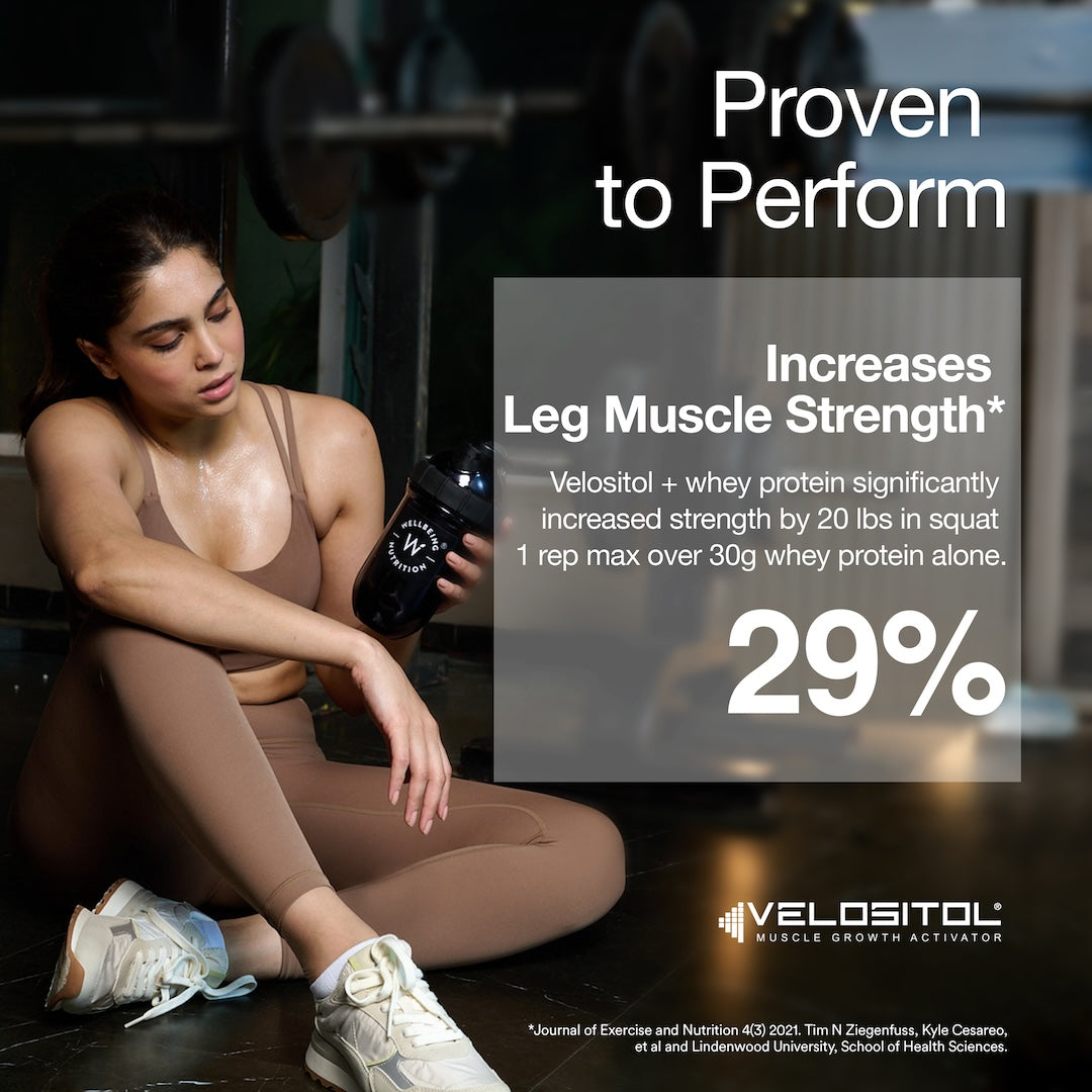 Whey Protein Isolate 26g | 2kg |  4B CFU Probiotics | Dark Chocolate