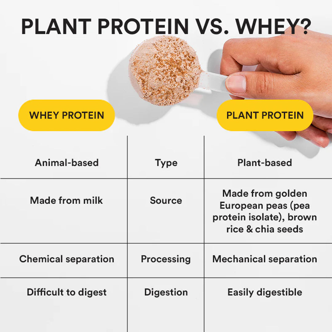 Superfood Plant Protein | French Vanilla Caramel Sachet