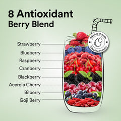 8 antioxidant berry plant protein blend