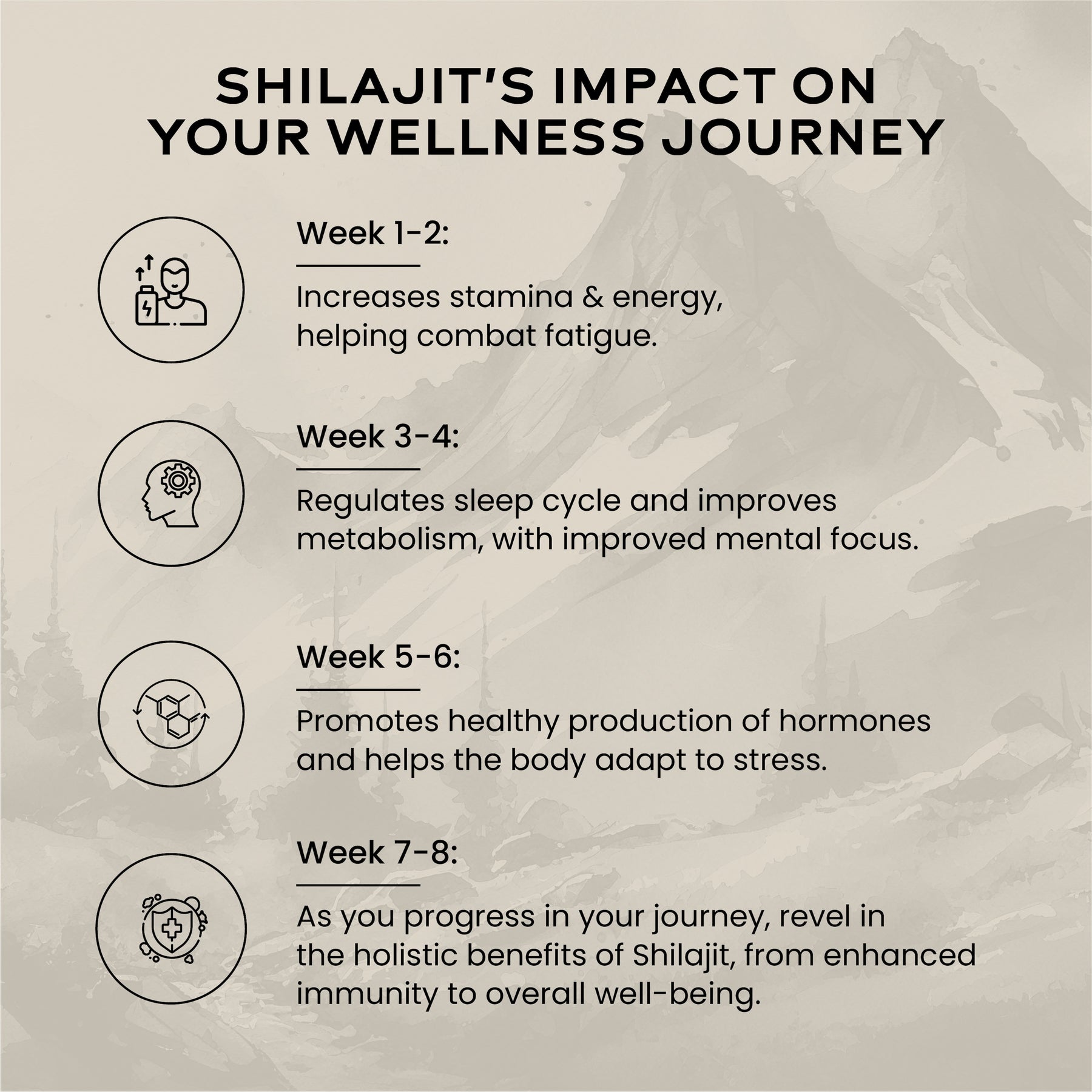Shilajit Resin 10gm