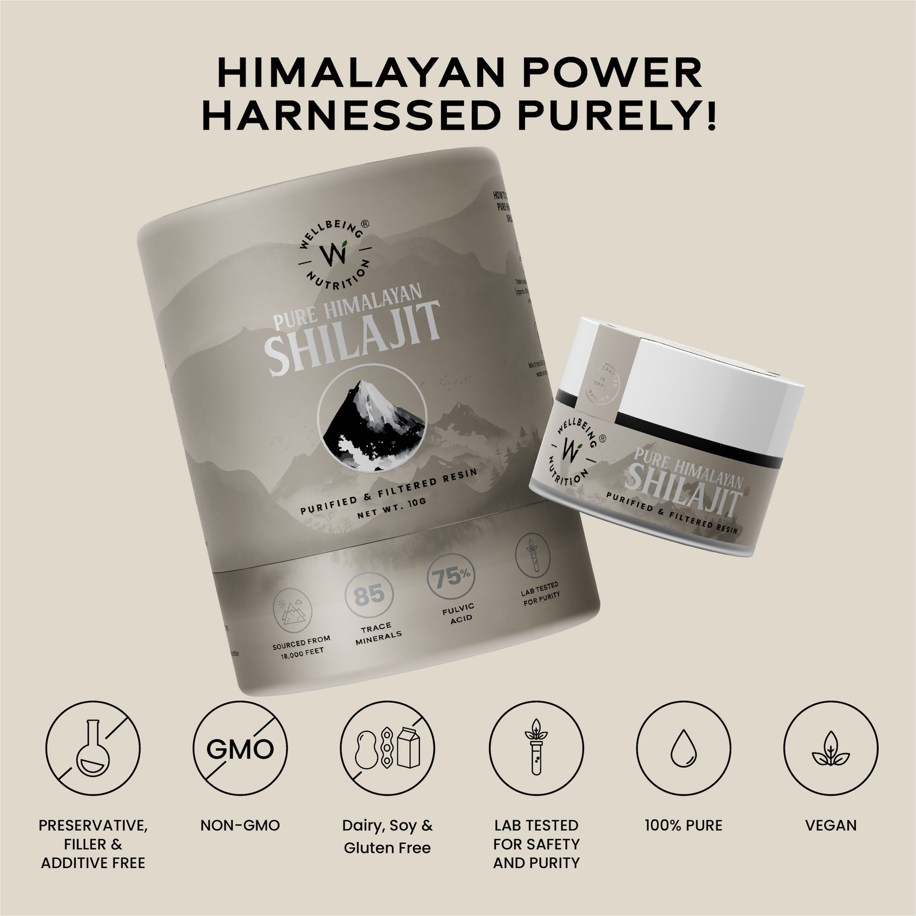 Shilajit Resin 10gm