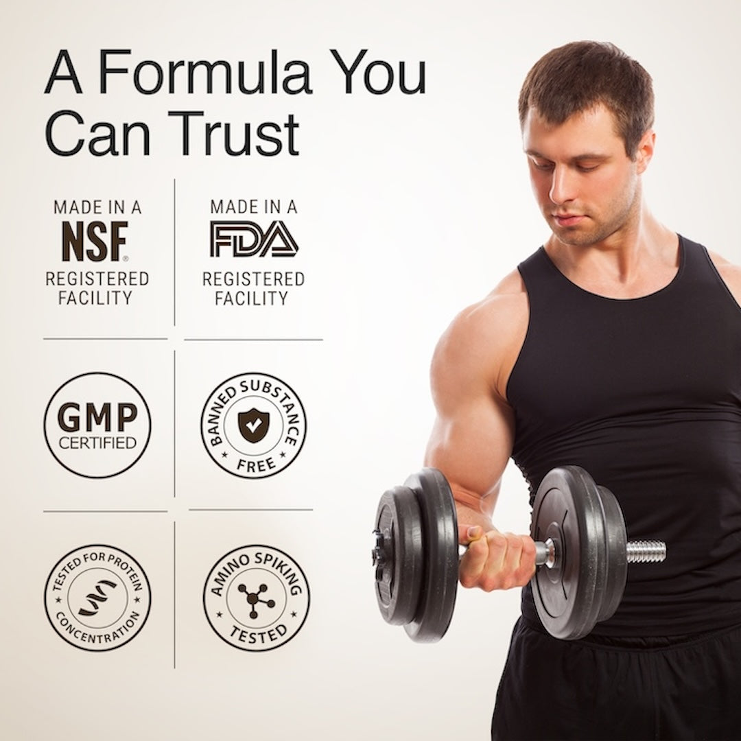 Whey Protein Isolate + Concentrate 24g | 1kg | 4B CFU Probiotics | Swiss Chocolate