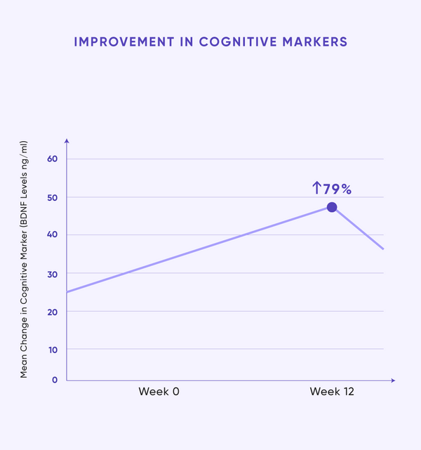 Slow Ageing at  Cellular Level