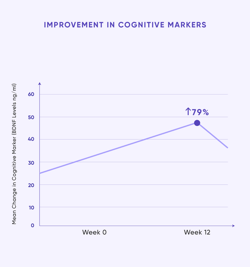 Slow Ageing at  Cellular Level