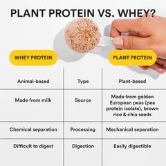 plant protein vs whey comparison