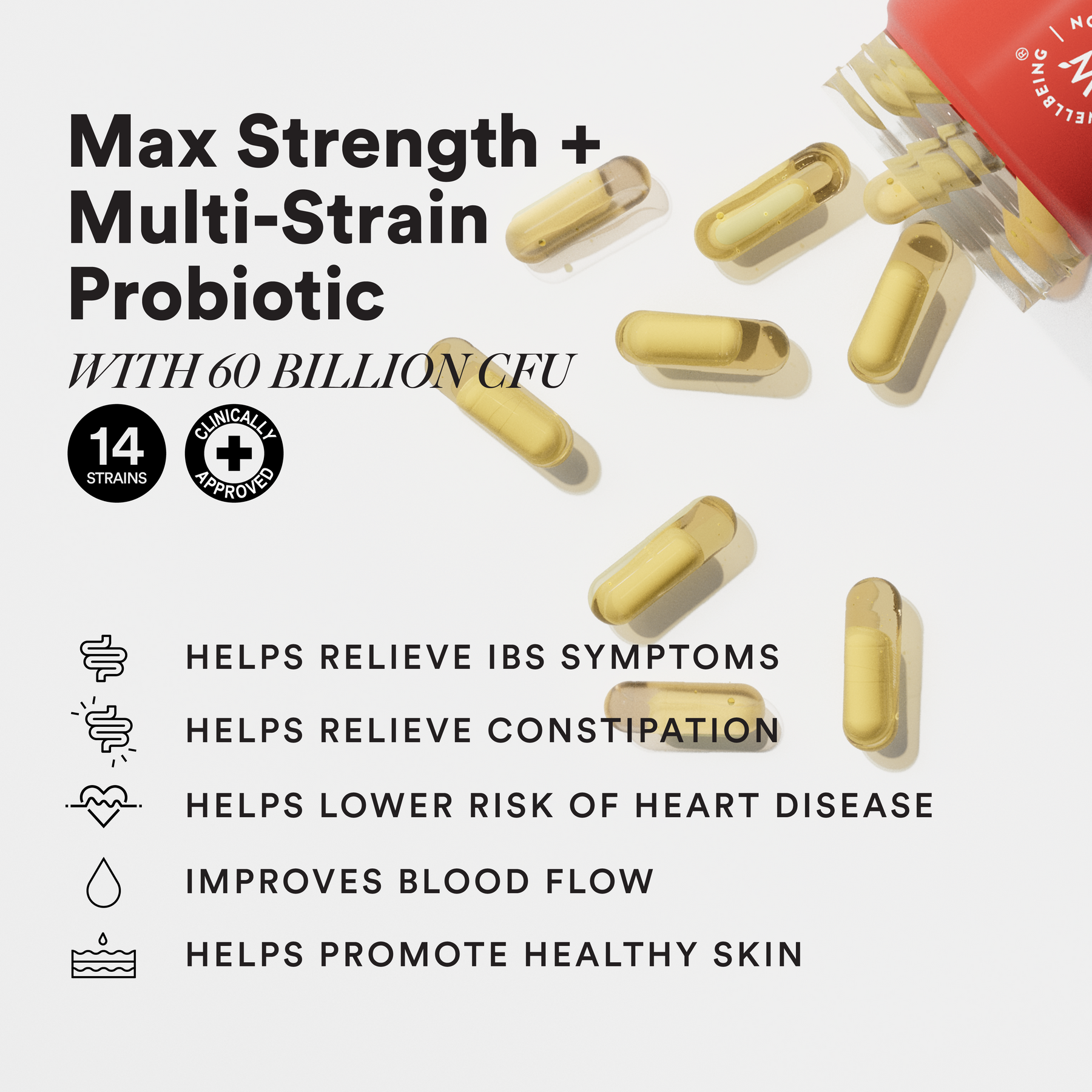 Daily Probiotic Slow