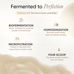 Fermented to Perfection