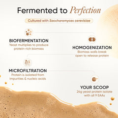 Fermented to Perfection