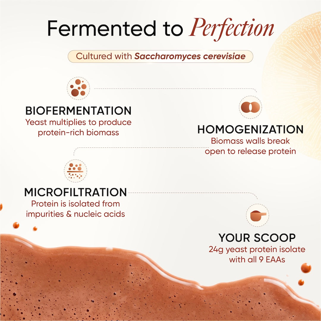 Fermented to Perfection