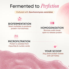 Fermented to perfection