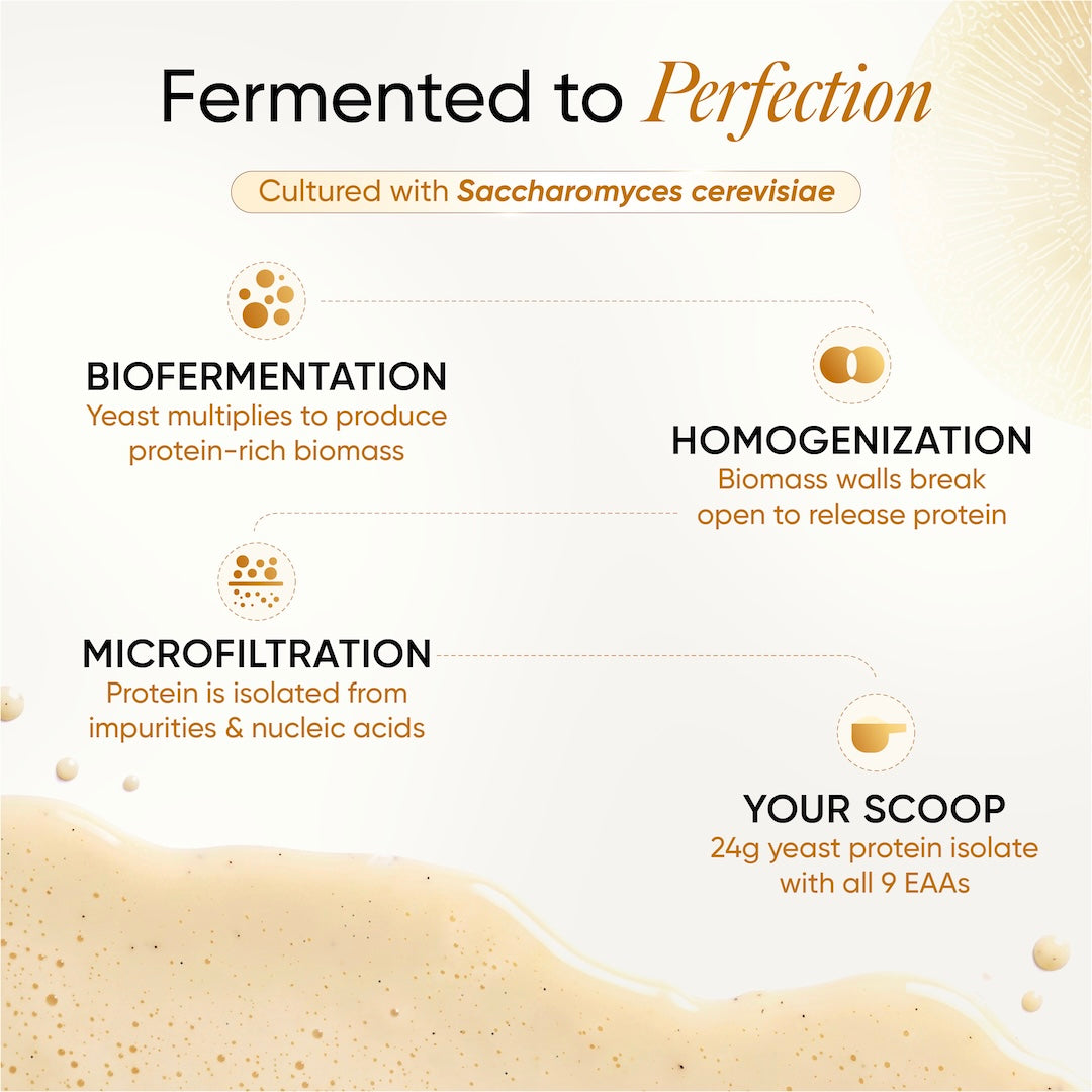 Fermented to Perfection