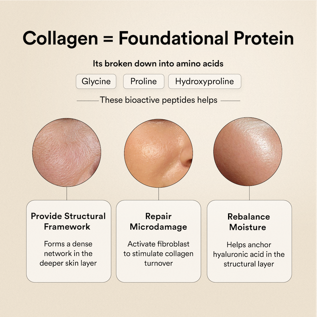 Beauty Korean Marine Collagen Peptides Mango Peach Flavour