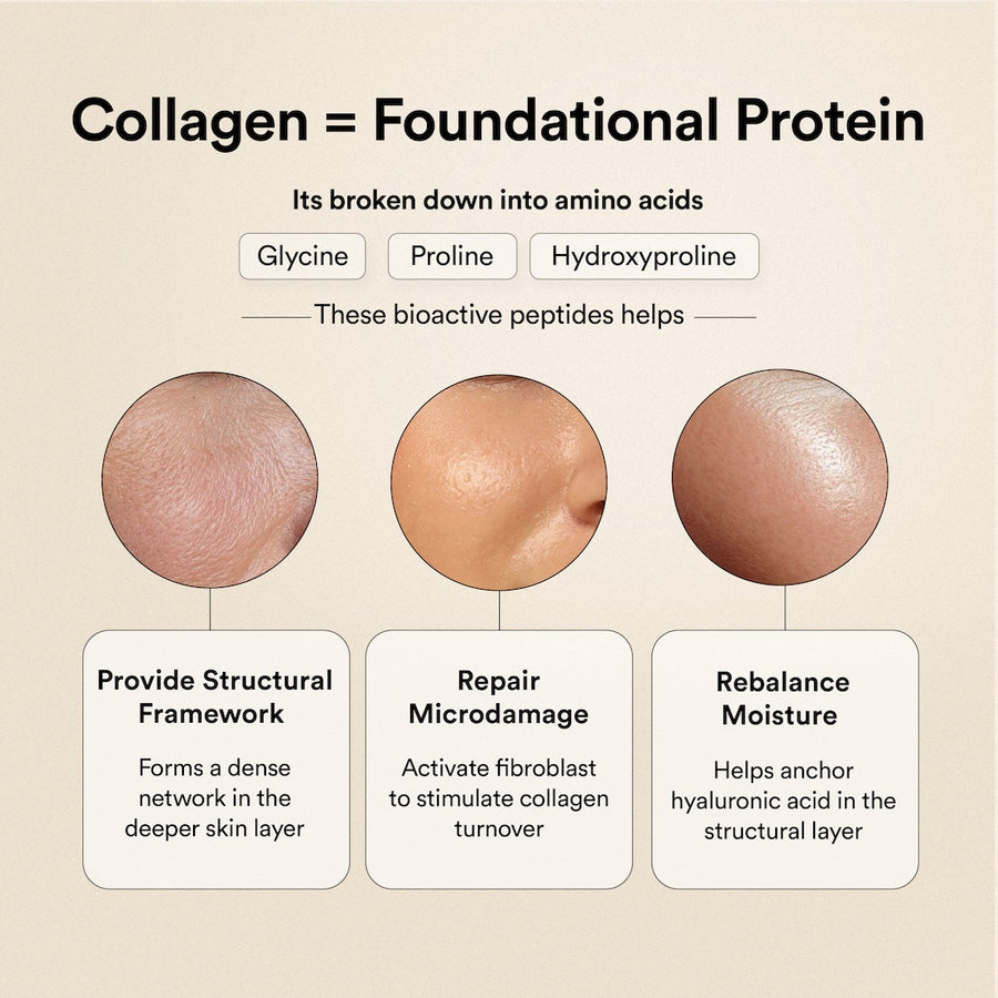 Buy Glow Korean Marine Collagen Powder - Valencia Orange