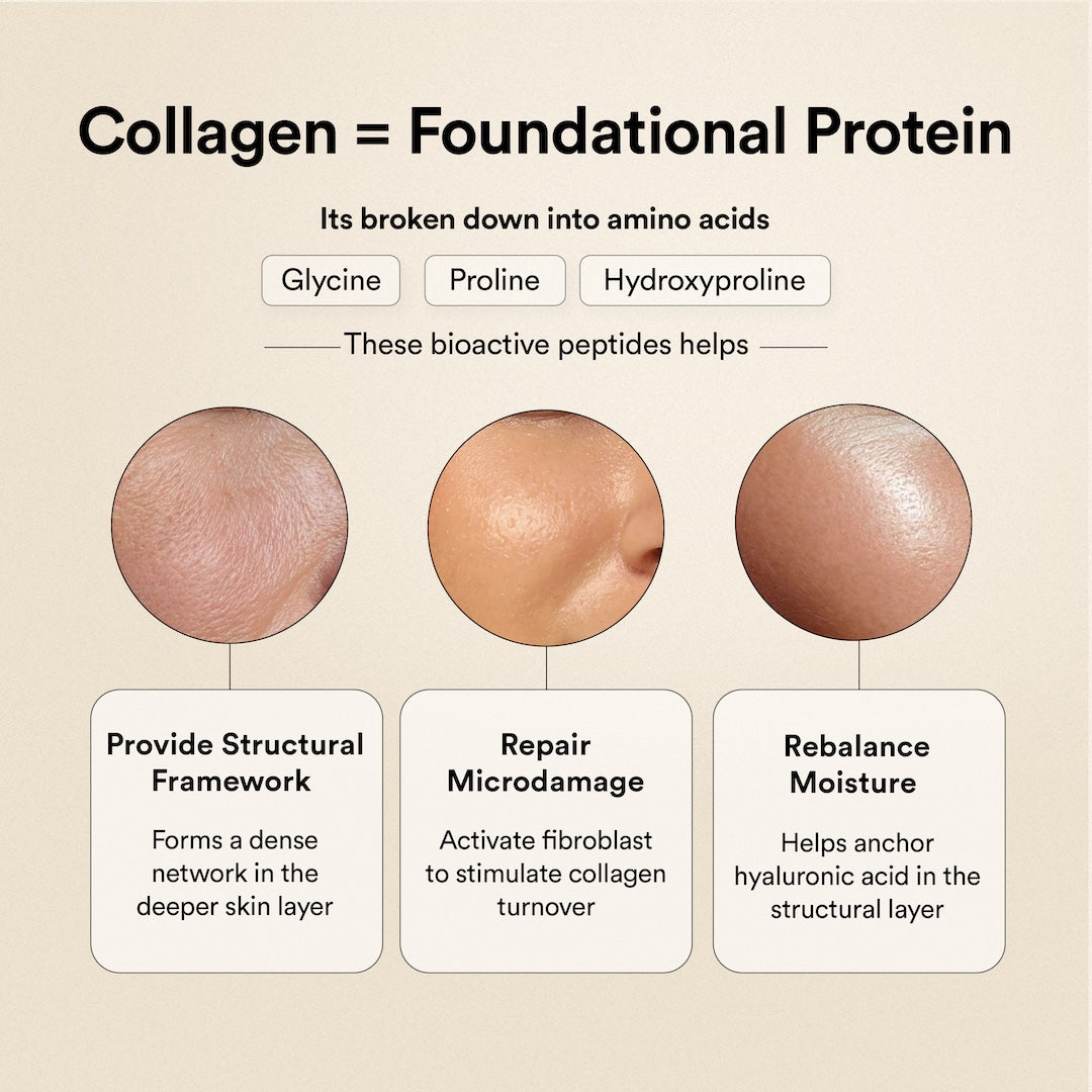 Pure Korean Marine Collagen Peptides | Unflavored | Combat Signs of Ageing