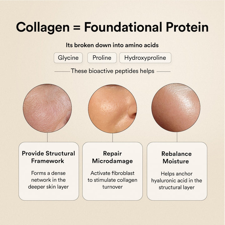 Pure Korean Marine Collagen Peptides | Unflavored | Combat Signs of Ageing