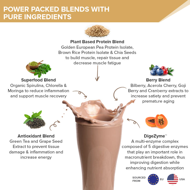 Superfood Plant Protein | Italian Café Mocha